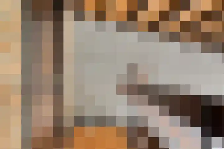 Brittendreef 8 Tilburg thumbnail 22