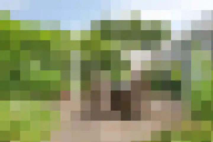 Brittendreef 8 Tilburg thumbnail 29