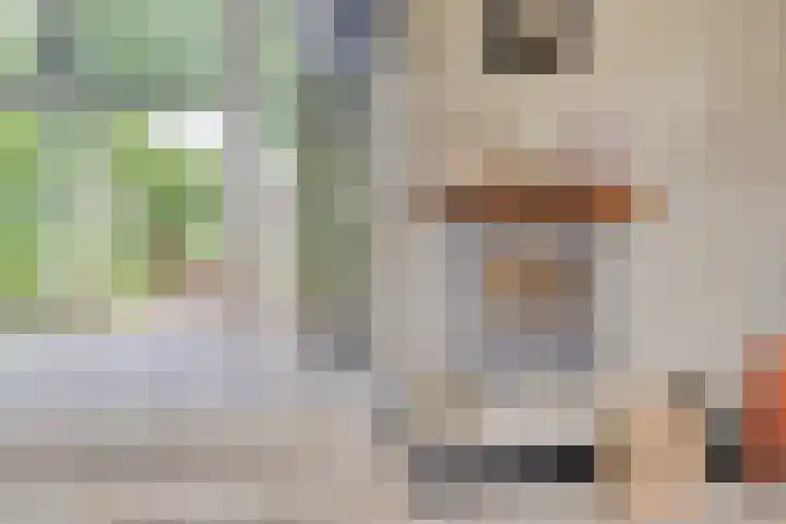 Brittendreef 8 Tilburg thumbnail 8