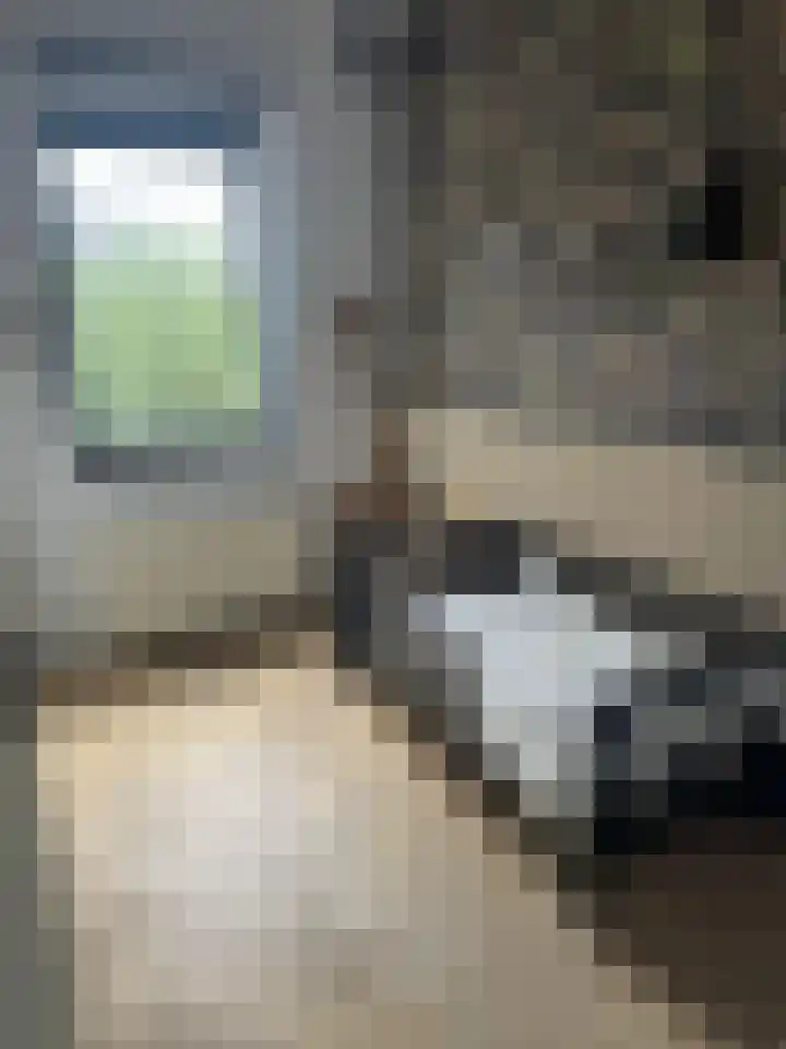 Broederstiende 25 Delft thumbnail 16