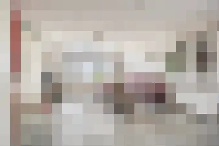 Broedheuvel 4 Best thumbnail 11