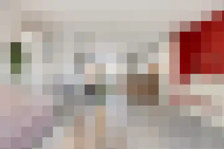 Broedheuvel 4 Best thumbnail 13