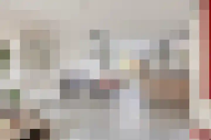 Broedheuvel 4 Best thumbnail 14