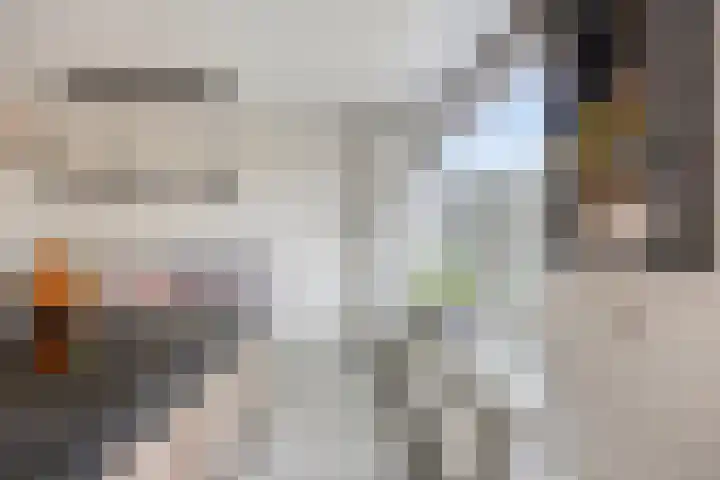 Broedheuvel 4 Best thumbnail 18