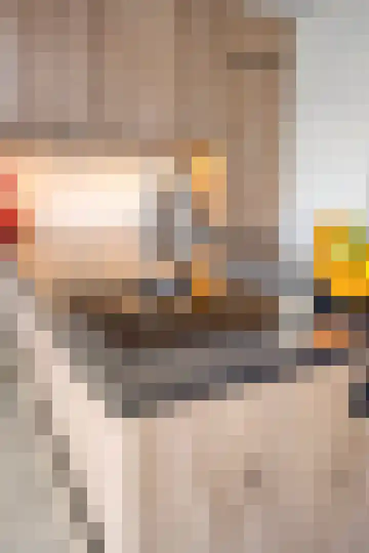 Broedheuvel 4 Best thumbnail 19