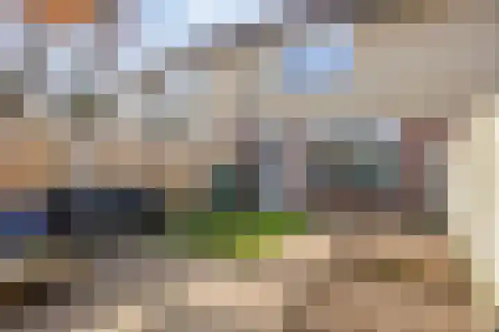 Broedheuvel 4 Best thumbnail 37