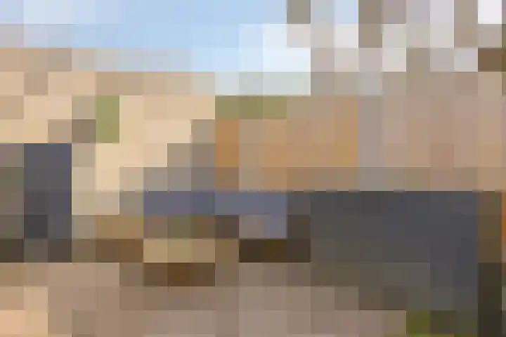 Broedheuvel 4 Best thumbnail 38