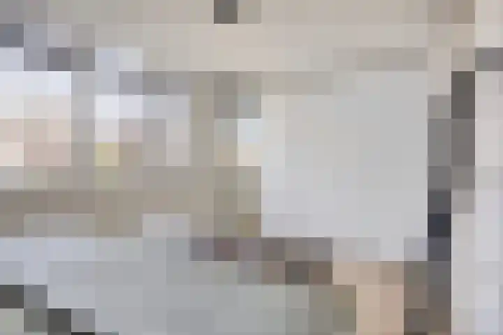 Broedheuvel 4 Best thumbnail 4