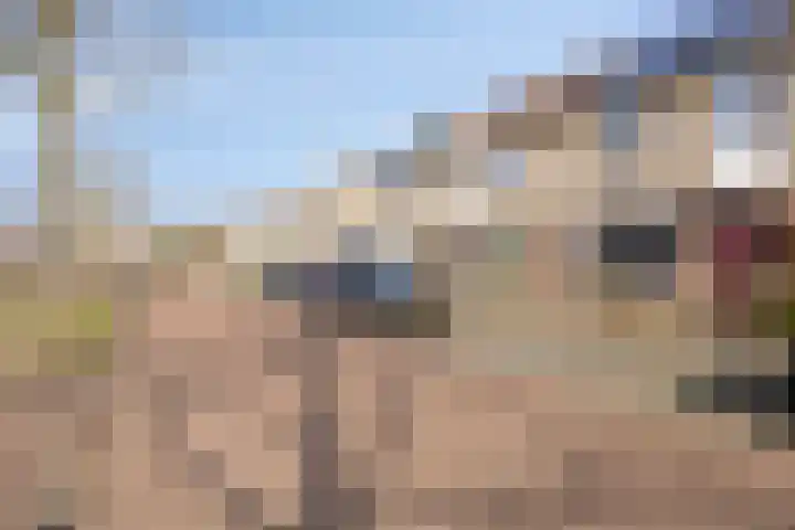 Broedheuvel 4 Best thumbnail 7
