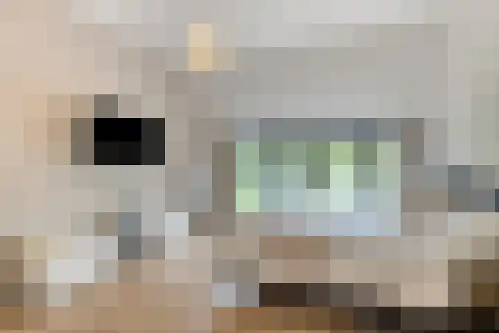 Broek 17 Bocholtz thumbnail 38