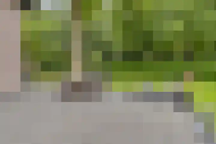 Broek 17 Bocholtz thumbnail 46