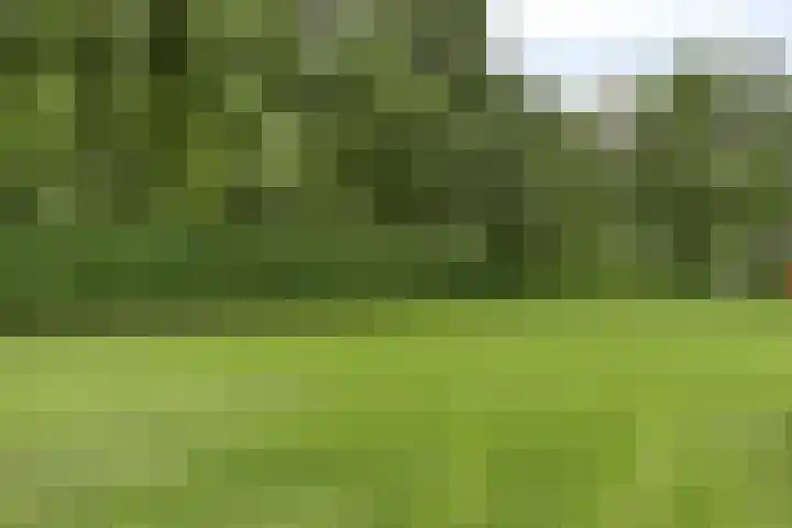 Broek 17 Bocholtz thumbnail 48