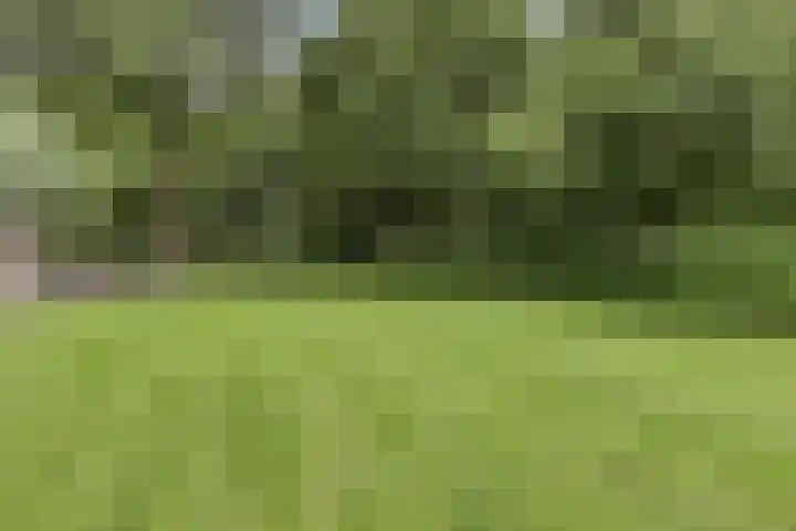 Broek 17 Bocholtz thumbnail 52