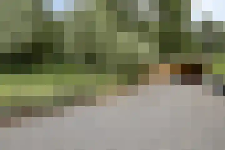 Broek 17 Bocholtz thumbnail 53