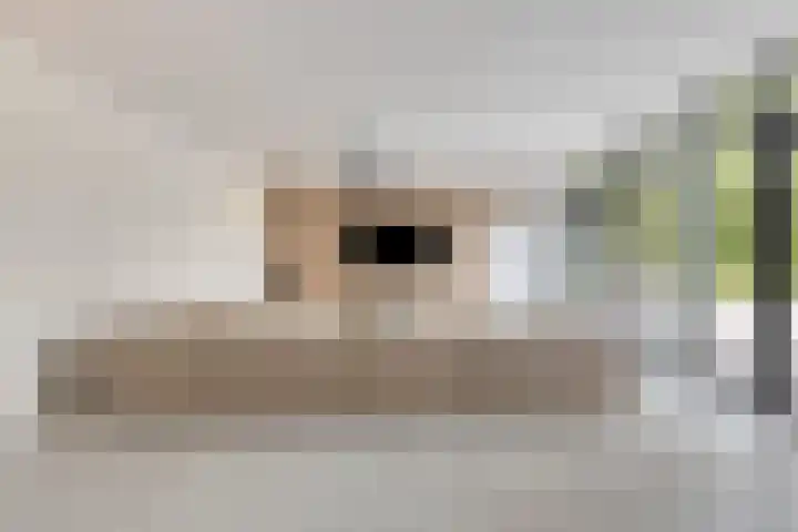 Broek 17 Bocholtz thumbnail 8