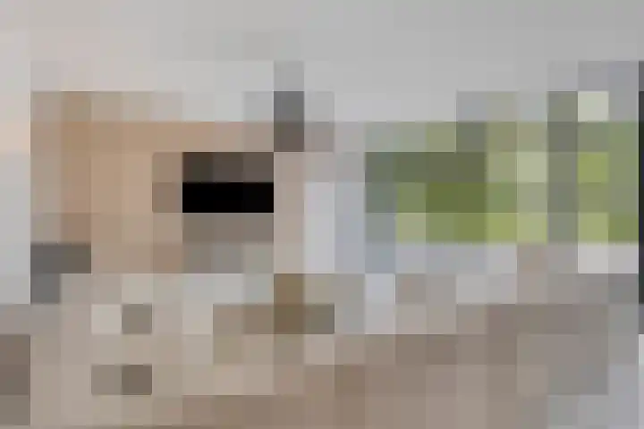 Broek 17 Bocholtz thumbnail 9