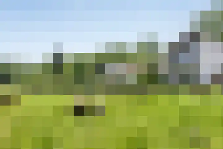 Broek 6 Nuenen
