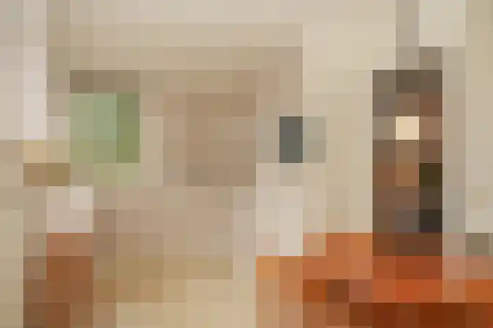Broek 7 Druten thumbnail 4