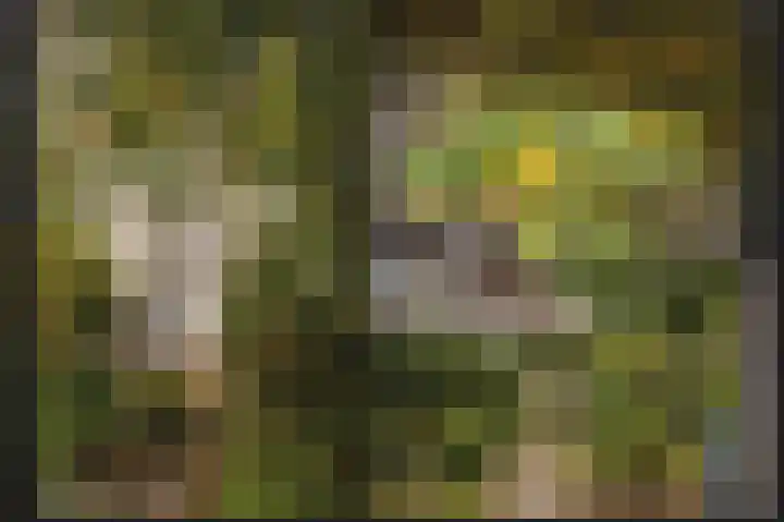 Broek 7 Druten thumbnail 46