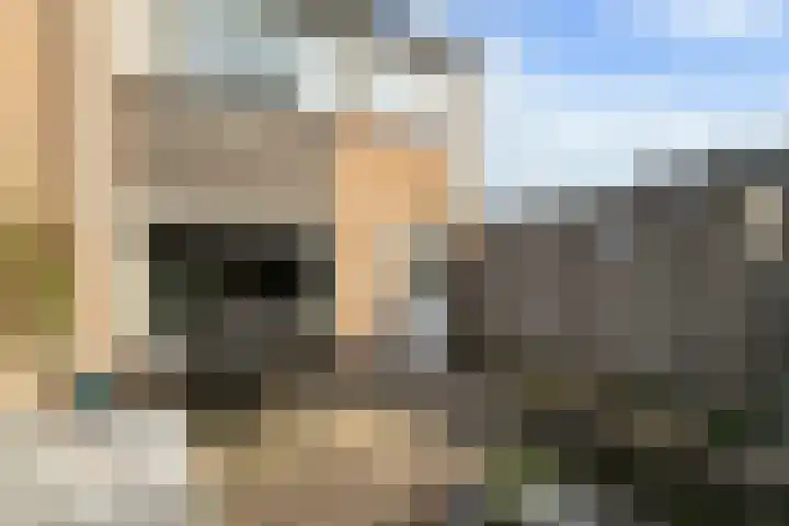 Broekakker 34 Breda thumbnail 23