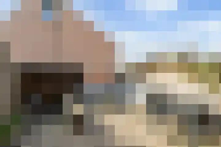 Broekakker 34 Breda thumbnail 24