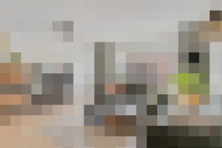 Broekakker 34 Breda thumbnail 6