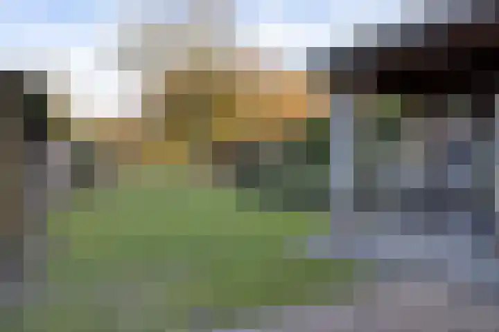 Broekdijk 11 Best thumbnail 4