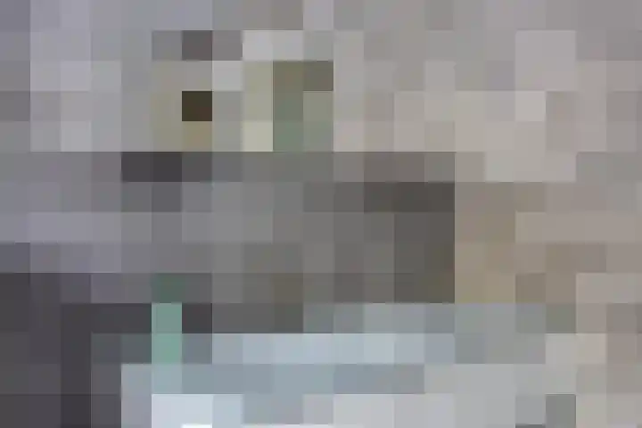 Broekdijk 11 Best thumbnail 40