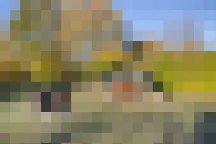Broekdijk 11 Best thumbnail 52