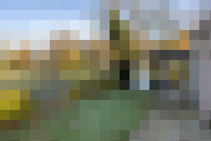 Broekdijk 11 Best thumbnail 81