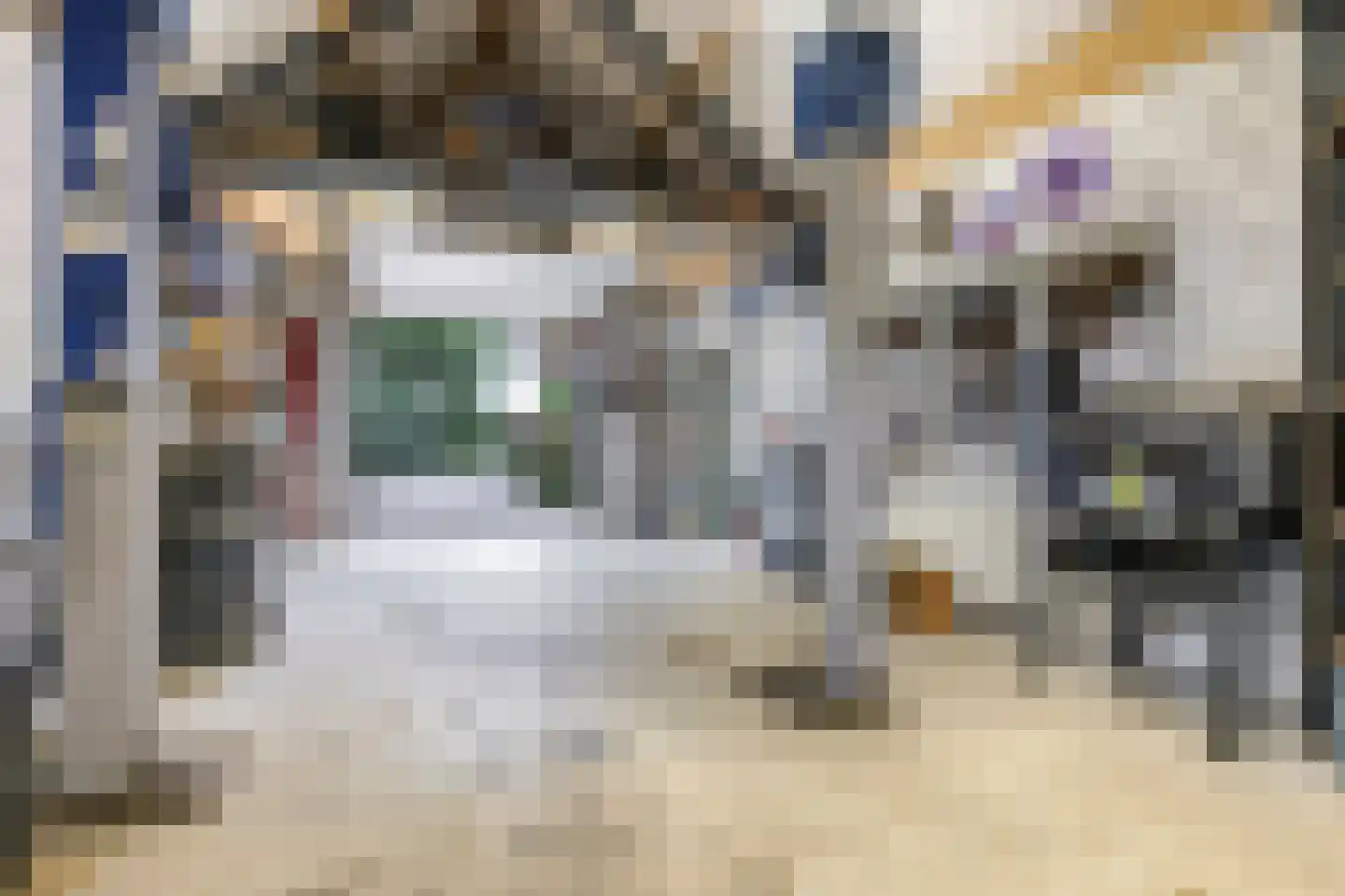 Broekdijk 24 Kesteren thumbnail 100