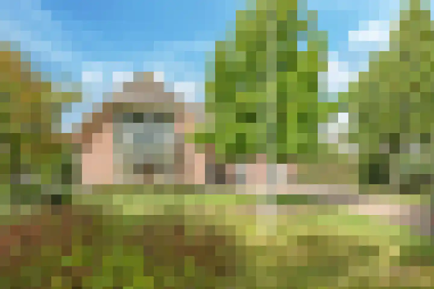 Broekdijk 24 Kesteren thumbnail 111