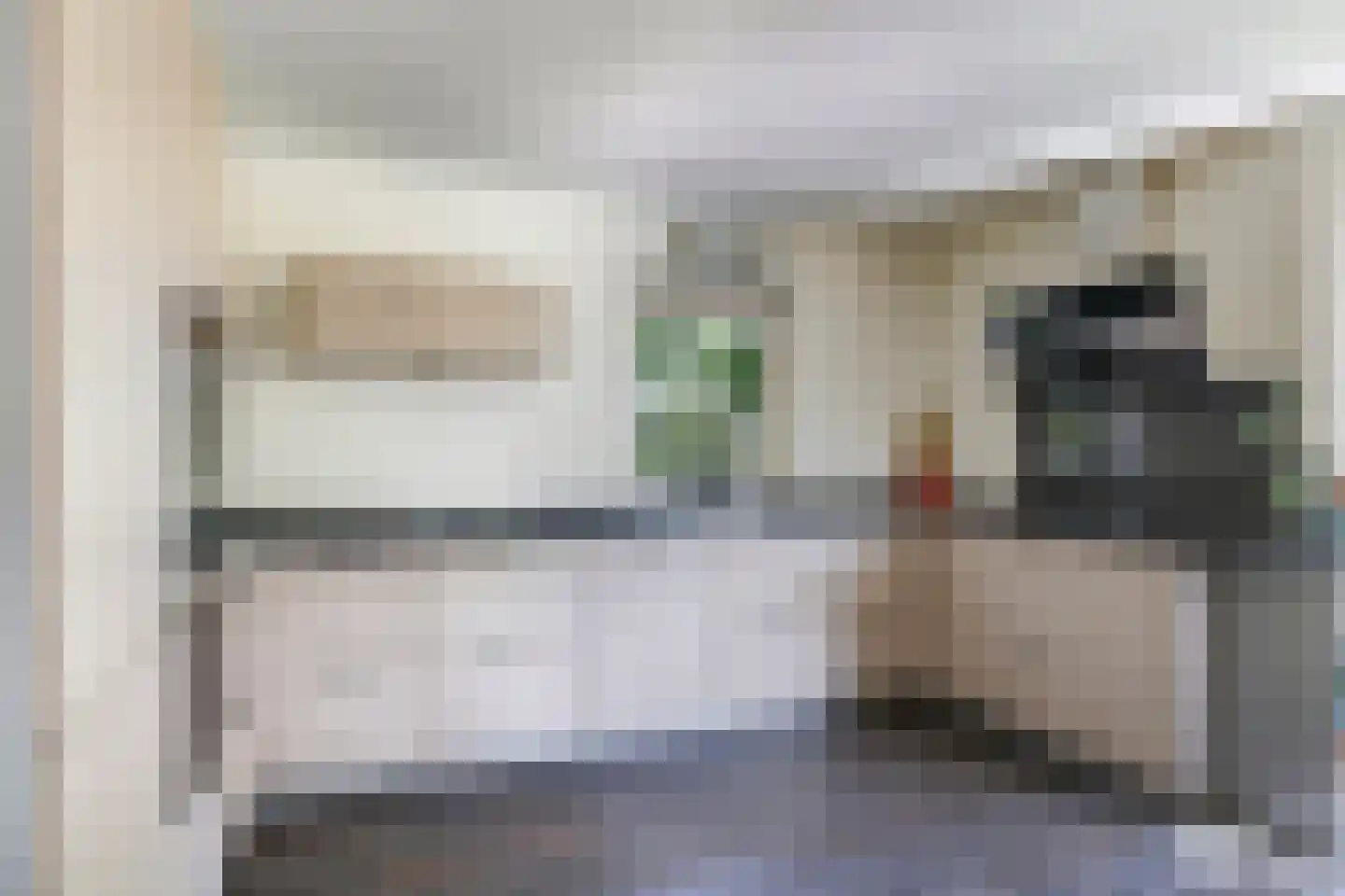 Broekdijk 24 Kesteren thumbnail 20