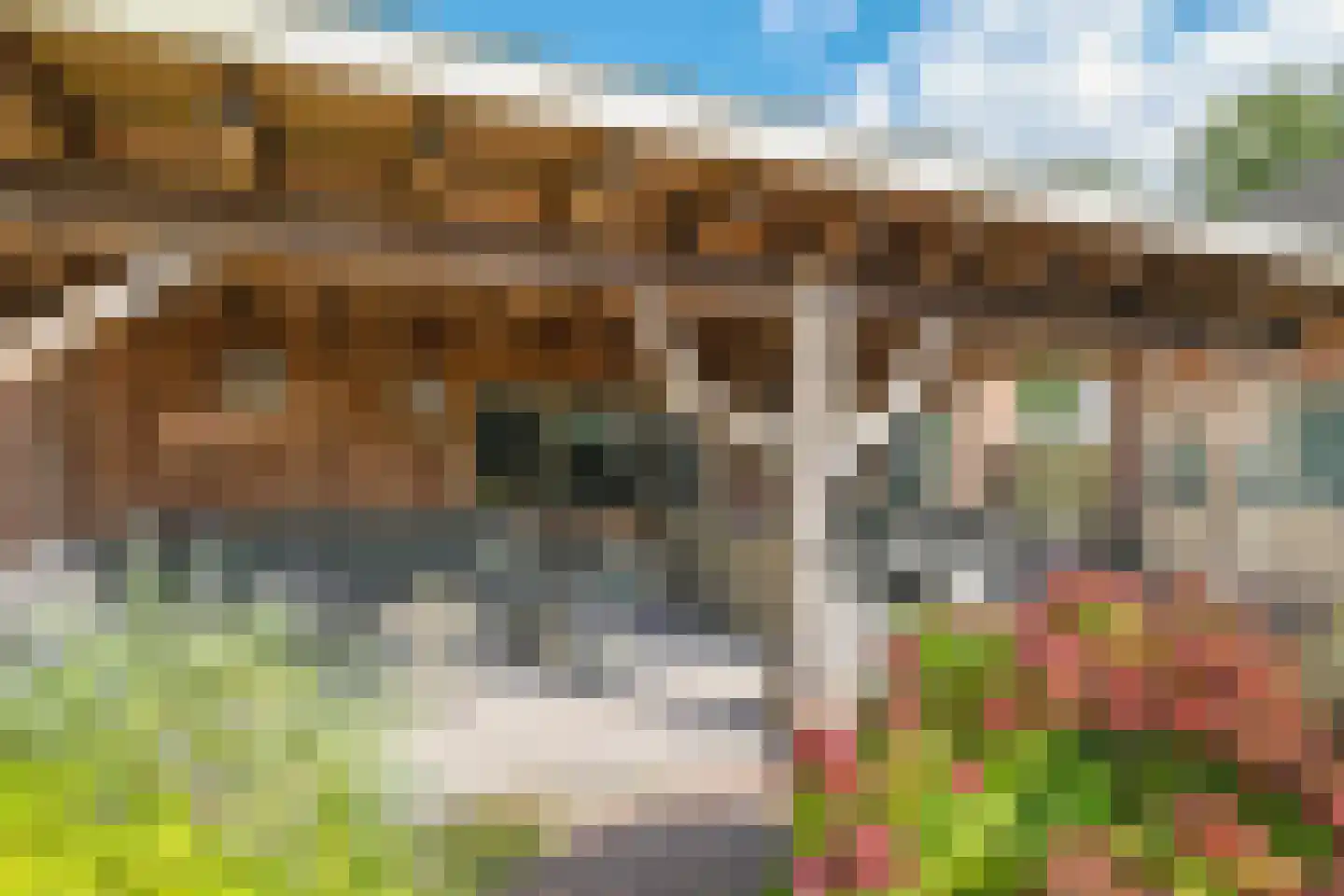 Broekdijk 24 Kesteren thumbnail 4