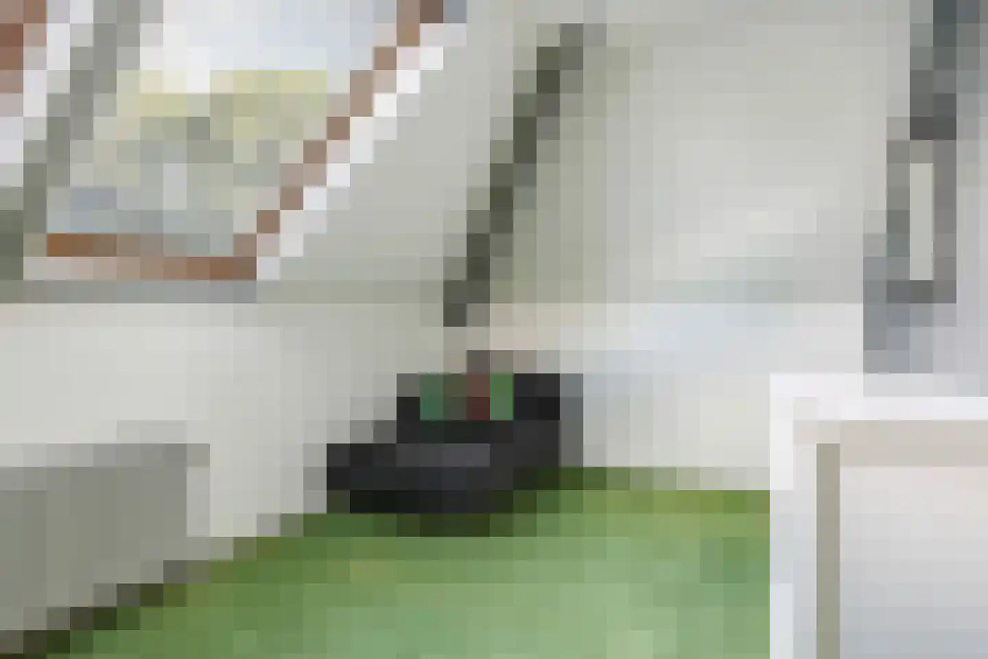 Broekdijk 24 Kesteren thumbnail 69
