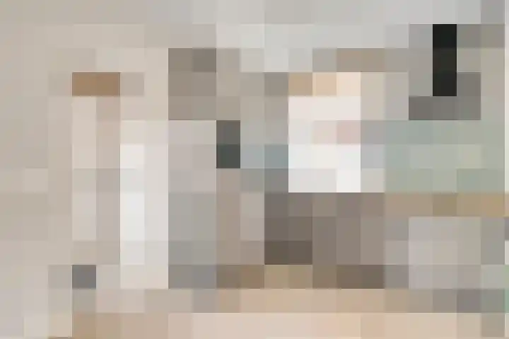 Broekerstraat 51 Leende thumbnail 10