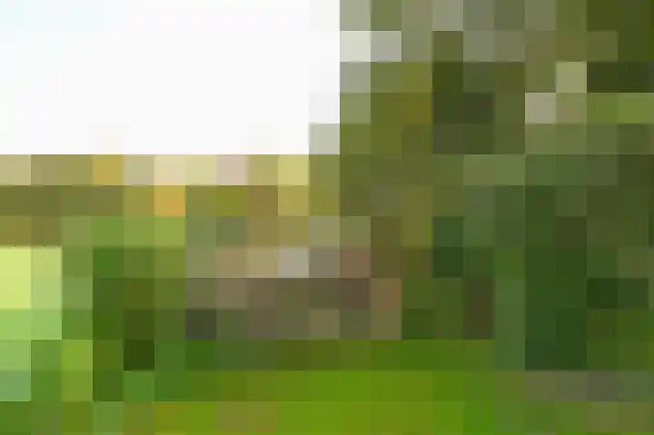 Broekerweg 13 Woudenberg thumbnail 11