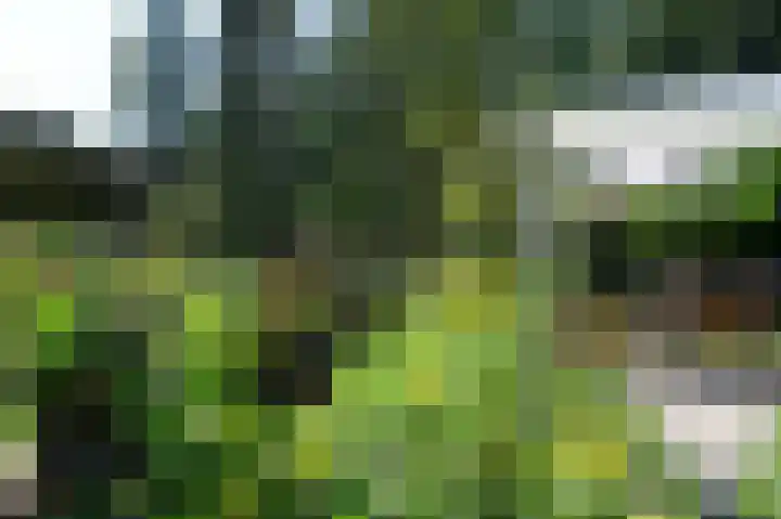 Broekerweg 13 Woudenberg thumbnail 23