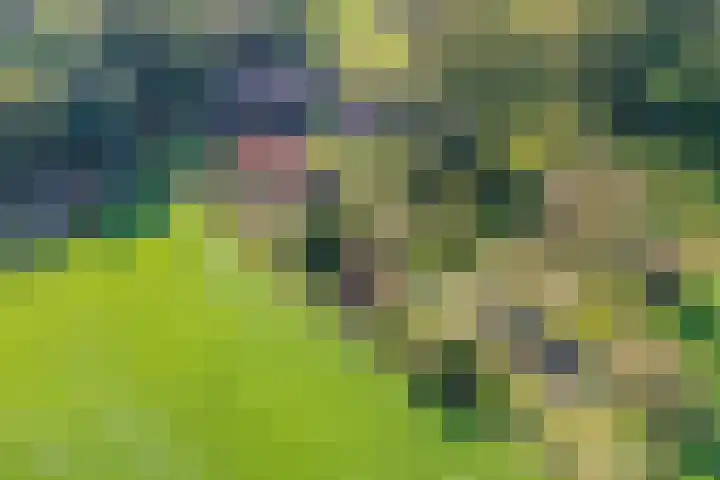 Broekerweg 13 Woudenberg thumbnail 4