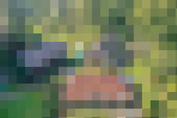 Broekerweg 13 Woudenberg thumbnail 6