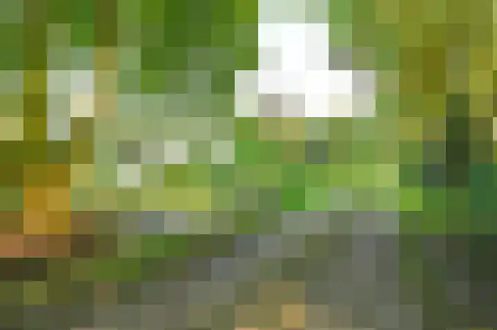 Broekerweg 13 Woudenberg thumbnail 7