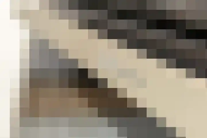 Broekfinne 155 De Wilgen thumbnail 10