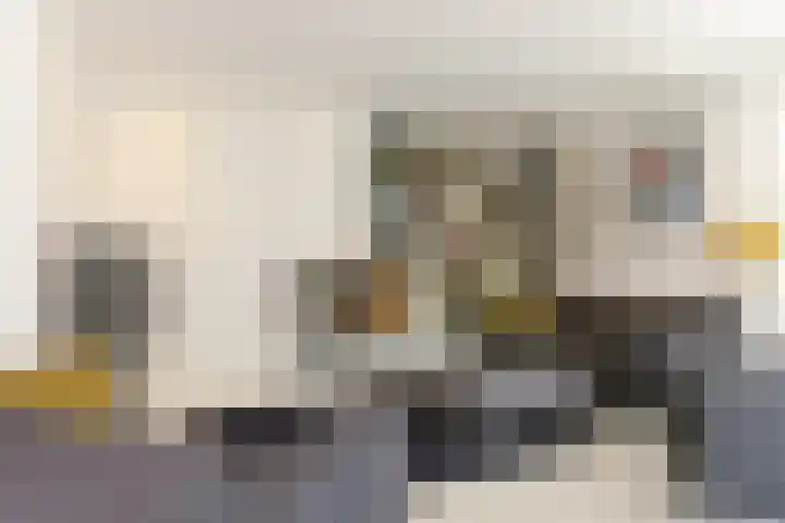 Broekfinne 155 De Wilgen thumbnail 13