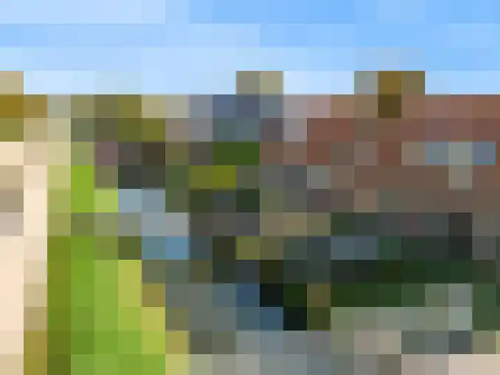 Broekfinne 155 De Wilgen thumbnail 15