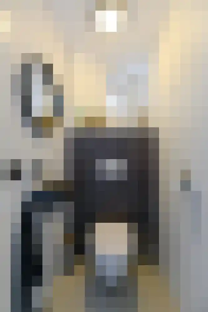 Broekfinne 155 De Wilgen thumbnail 15