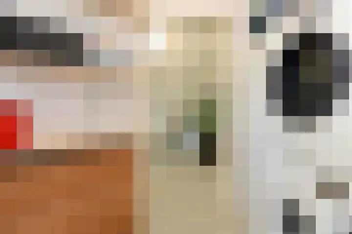 Broekfinne 155 De Wilgen thumbnail 22