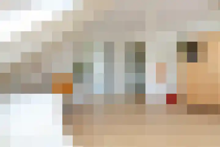 Broekfinne 155 De Wilgen thumbnail 26