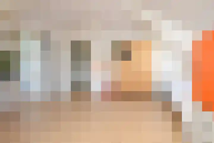Broekfinne 155 De Wilgen thumbnail 27