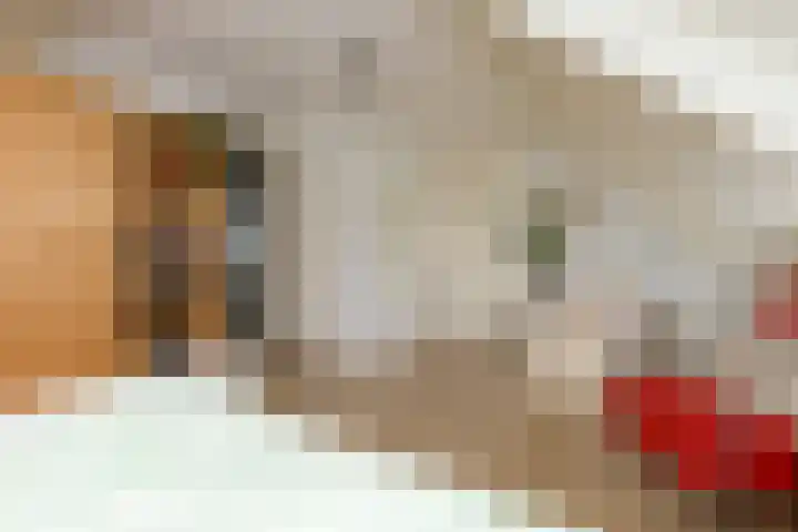 Broekfinne 155 De Wilgen thumbnail 32