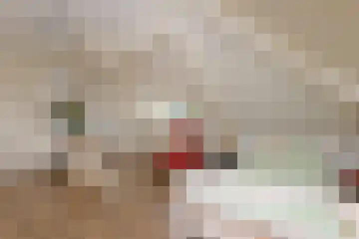 Broekfinne 155 De Wilgen thumbnail 33